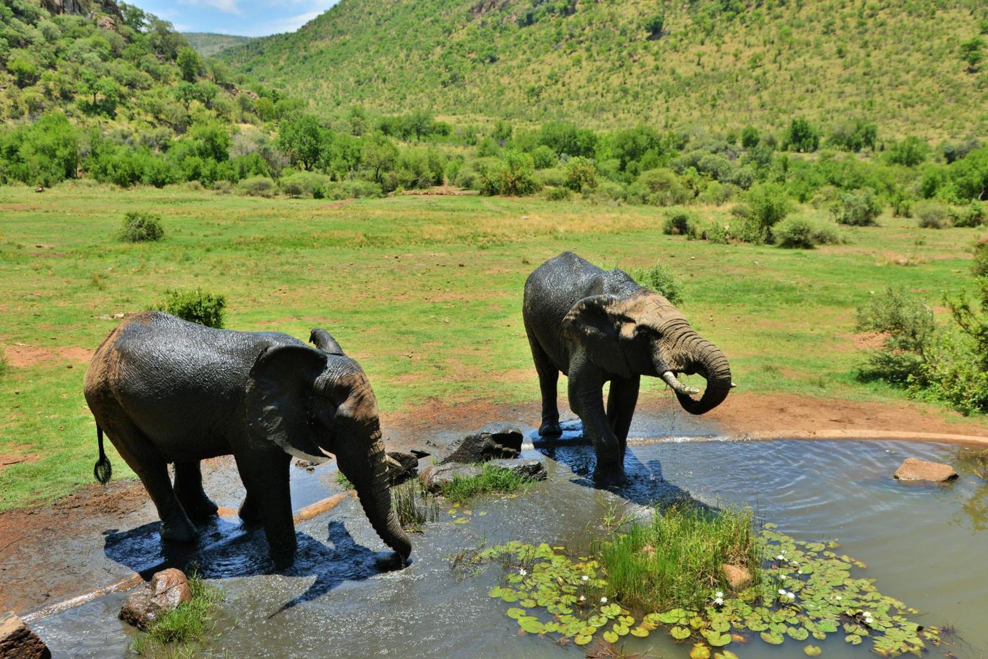 Kwa Maritane Lodge Ledig Exterior photo