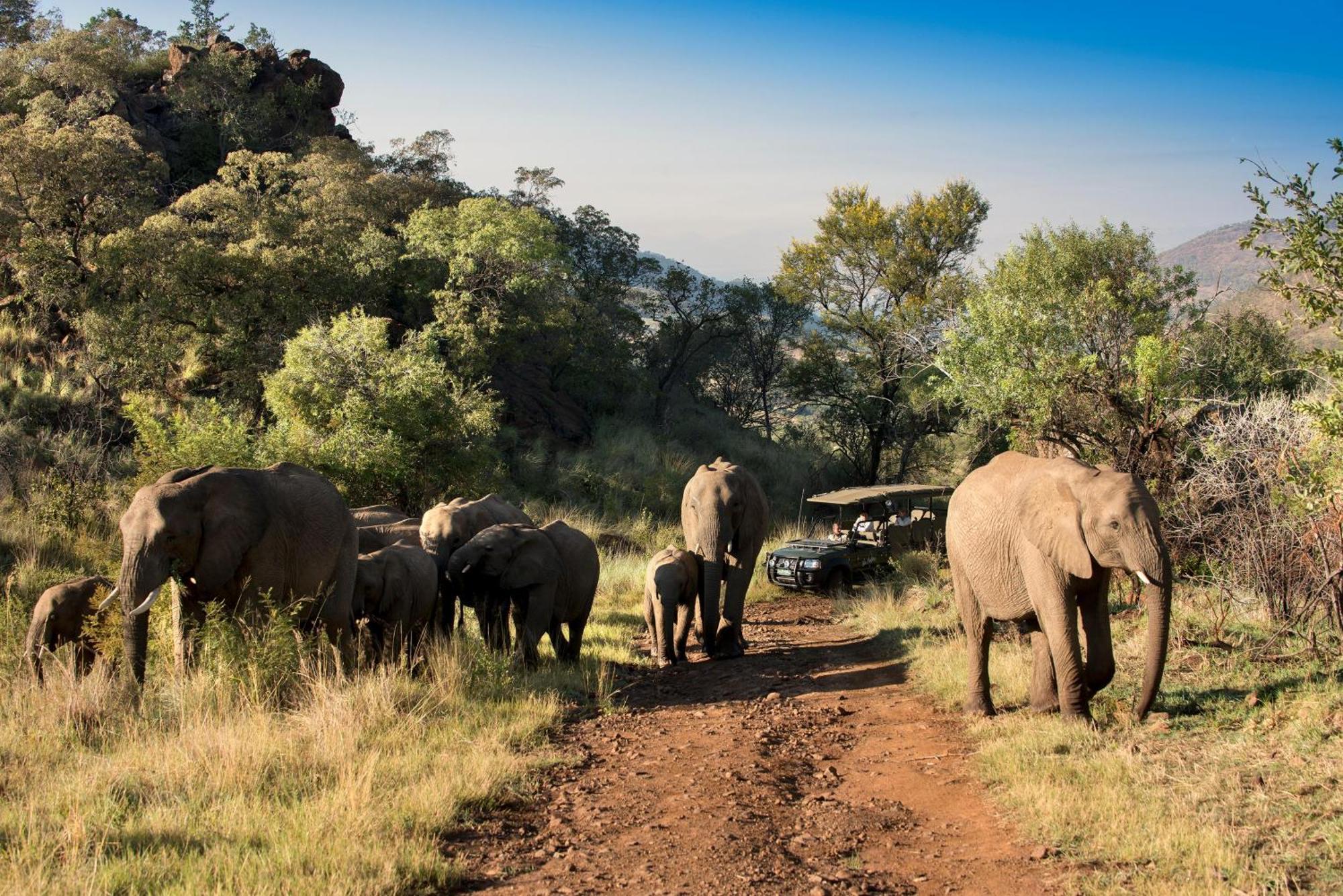 Kwa Maritane Lodge Ledig Exterior photo